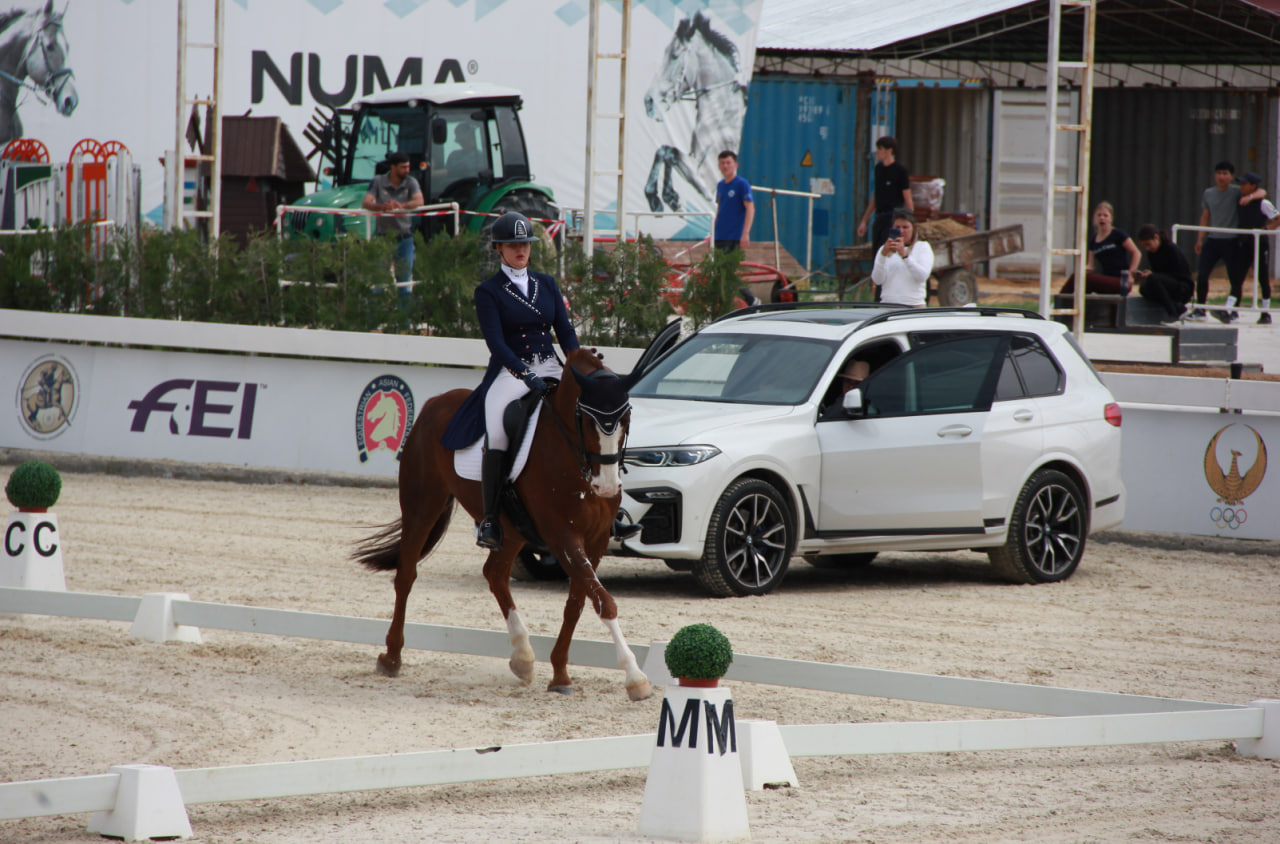 Фото: Федерация коневодства и конного спорта