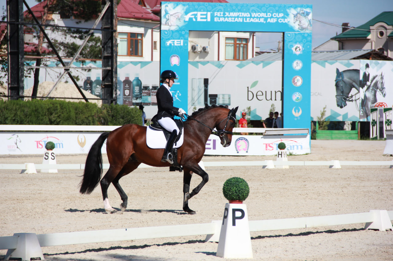 Фото: Федерация коневодства и конного спорта