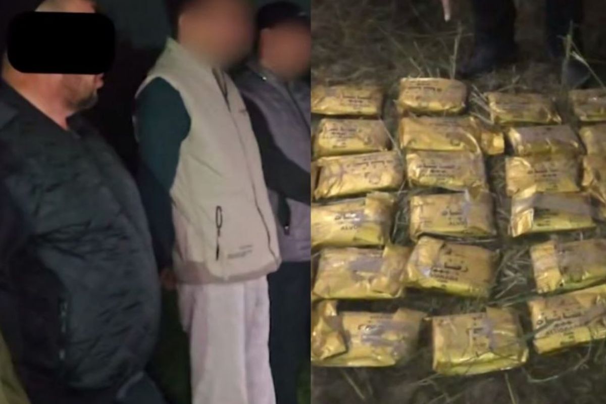 СГБ изъяла почти 25 кг гашиша, завезенного из Кыргызстана