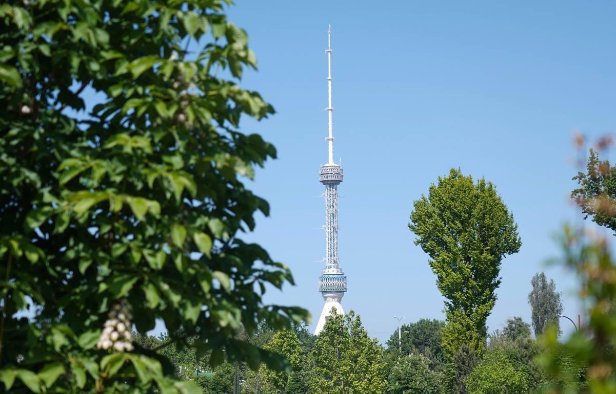 Прогноз погоды в Узбекистане на 25 апреля