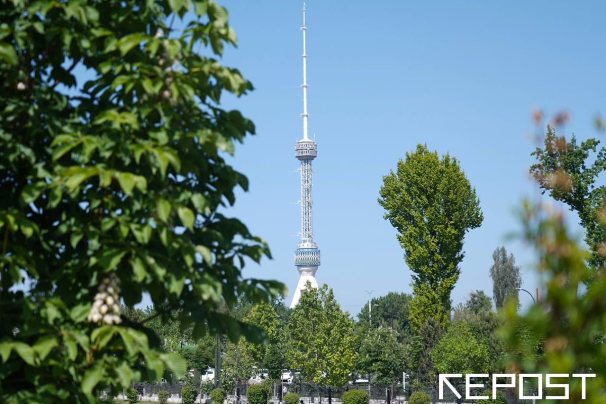 В Узбекистане ожидается 35-градусная жара