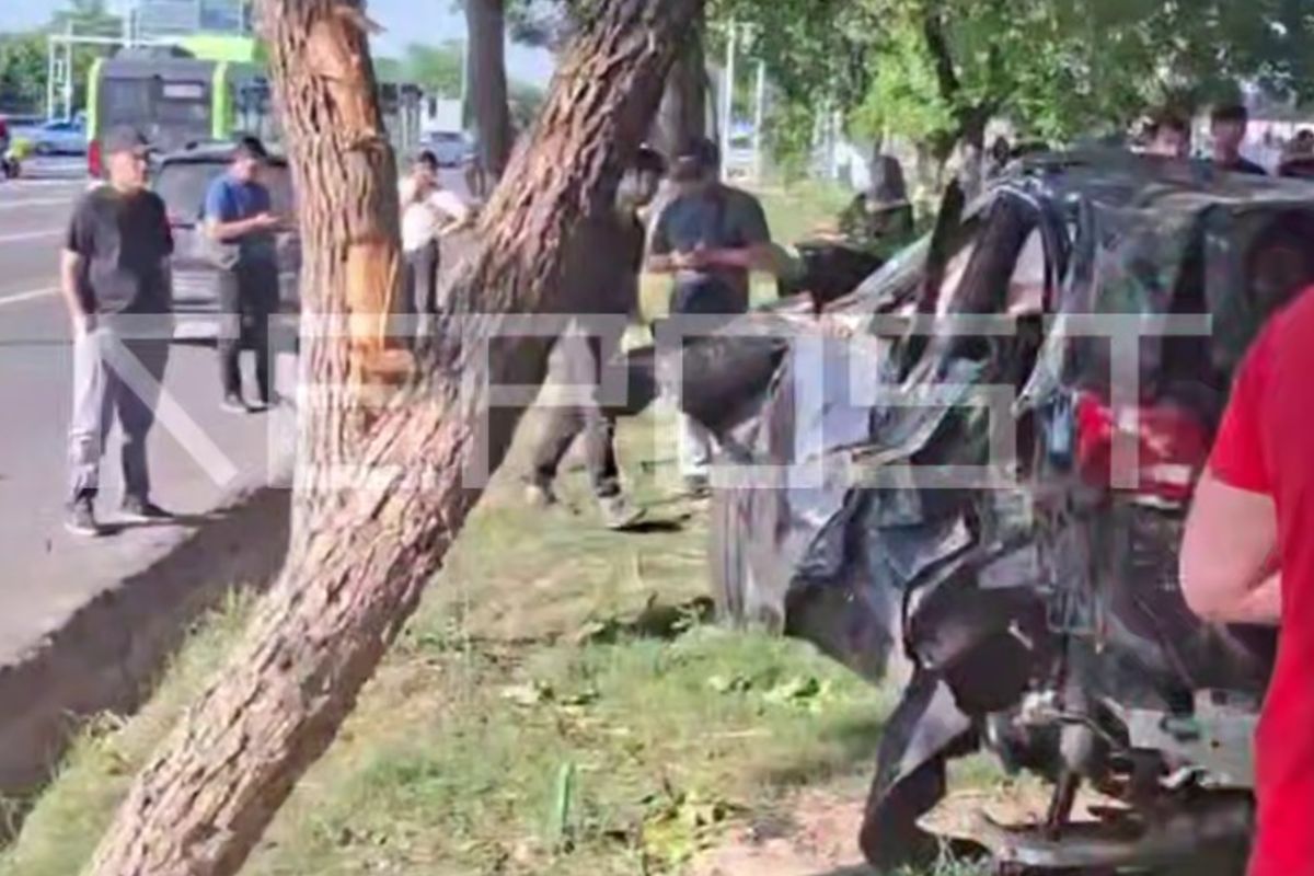 Обнародованы новые подробности страшного ДТП в Ташкенте