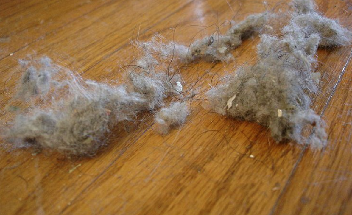 Что может спровоцировать аллергию прямо у вас дома