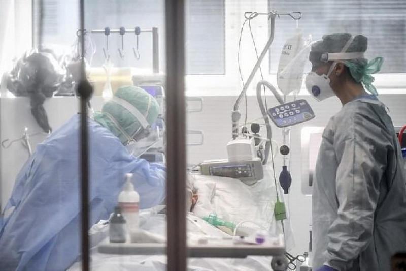 В Узбекистане выявлено более 500 новых зараженных