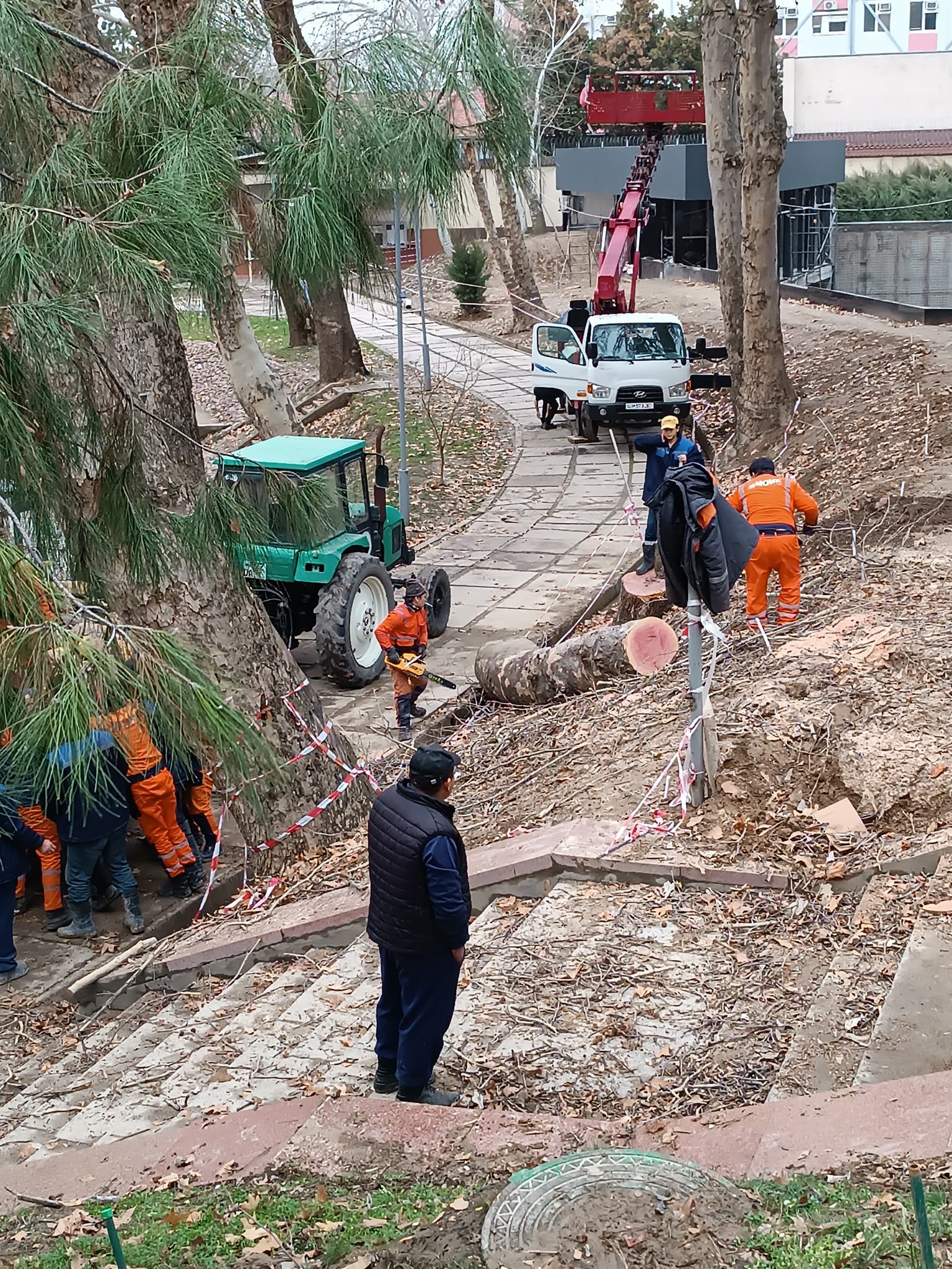 Фото: facebook.com/magic.uz