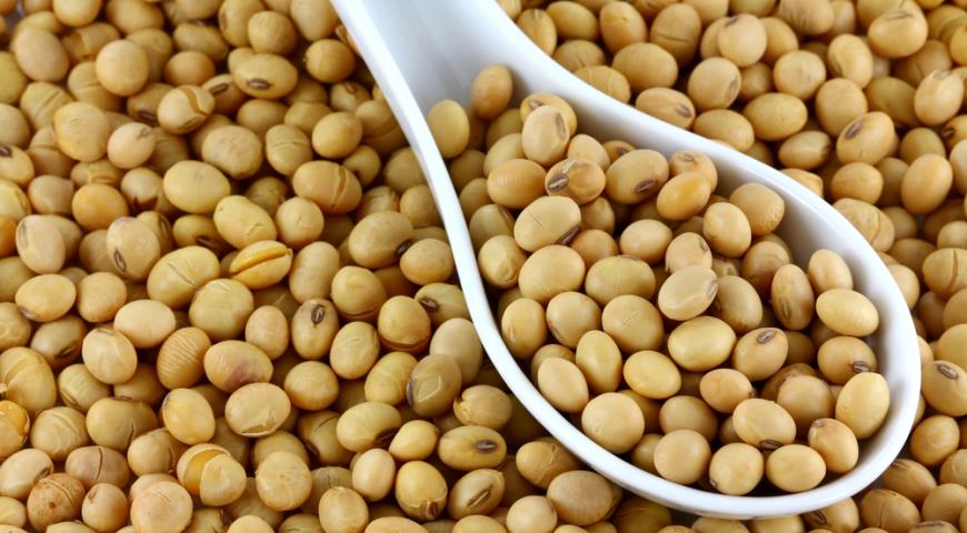 Узбекский нутрициолог назвала пять причин есть бобовые чаще