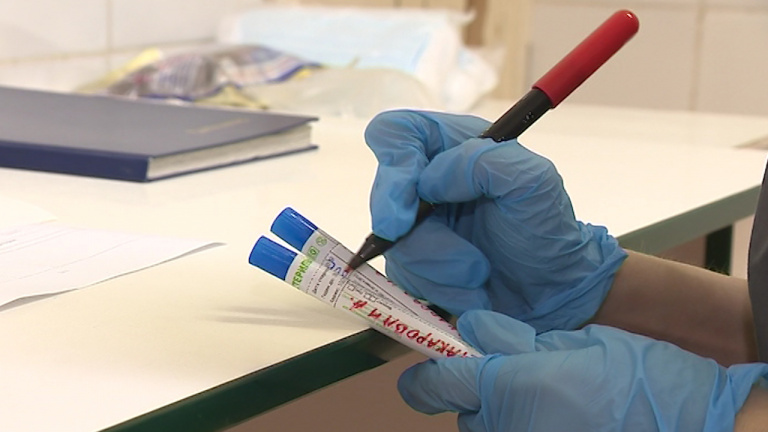 Врач оценил опасность штаммов «дельта» и нового варианта вируса AY.4.2