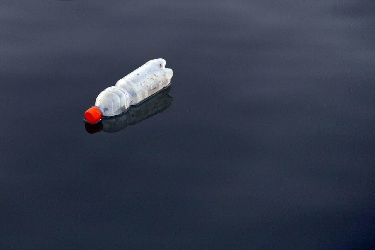 Планета настолько загрязнилась, что бактерии научились уничтожать мусор
