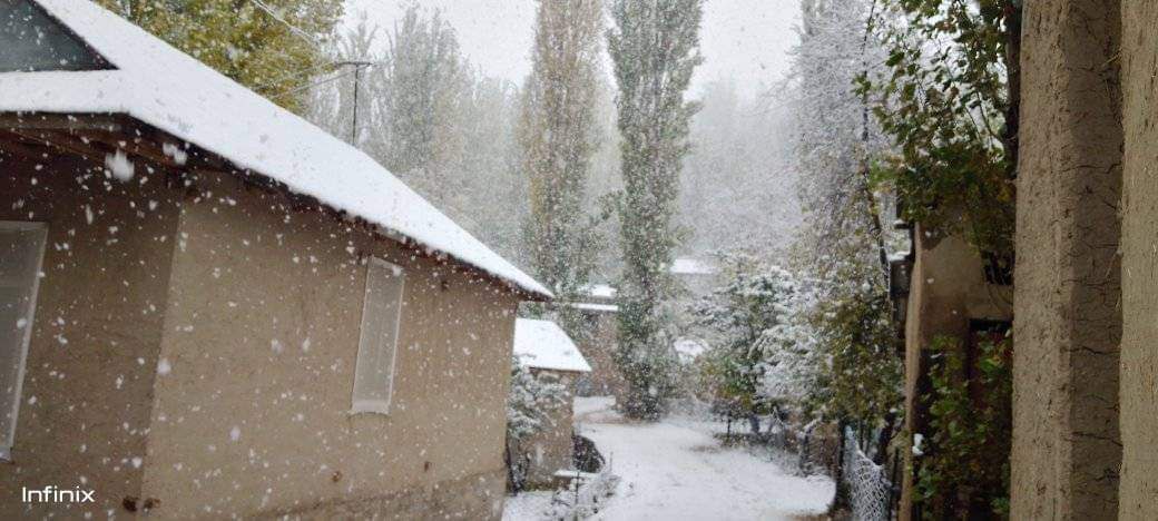 Фото: t.me/uzb_meteo