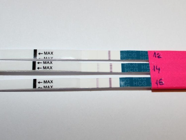 Как определить беременность на ранней стадии без теста 