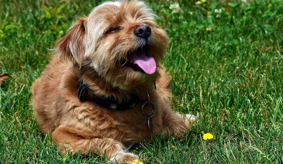 Врачи рассказали, как мог появиться омикрон-штамм коронавируса