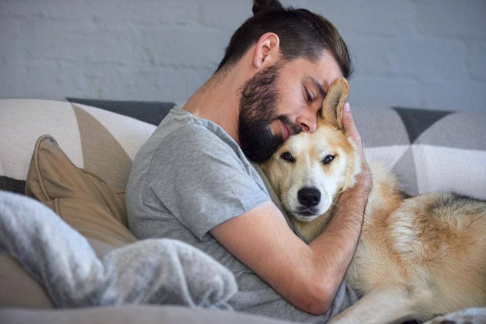 Узнали причину, почему мужчинам лучше не отращивать бороду и при чем здесь собаки — ответ вас удивит