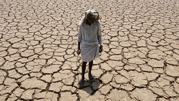 Летом из-за погоды в мире ожидается повышенная смертность