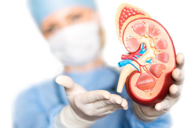 Глобальное потепление увеличивает риск распространения мочекаменной болезни – подробности