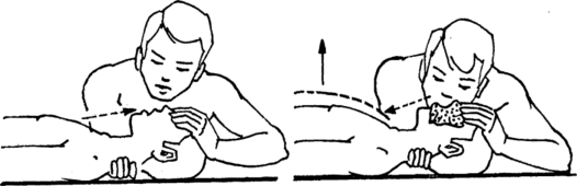 Фото: studme.org