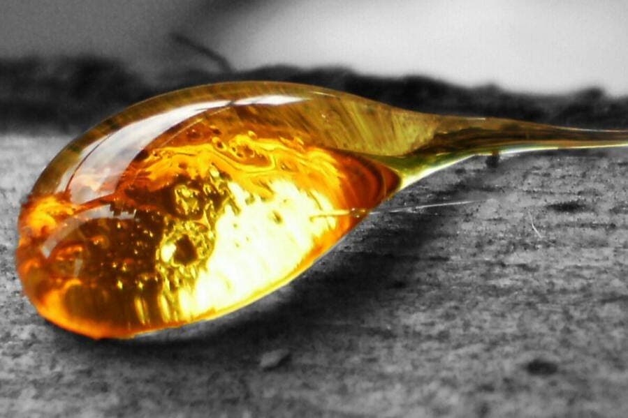 Выяснилось, что из смоляных кислот могут создать эффективные препараты