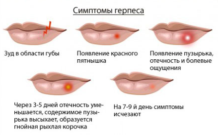 Фото: medoblako.ru