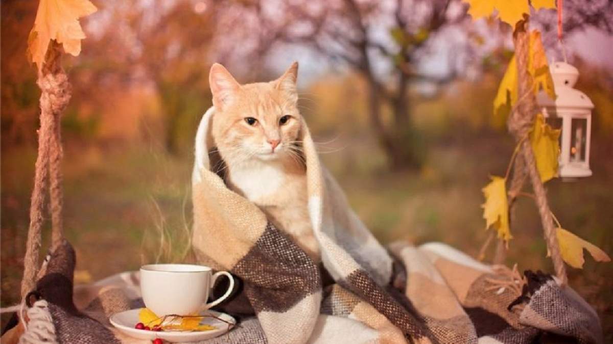 Как справляться с осенней хандрой – простая рабочая техника