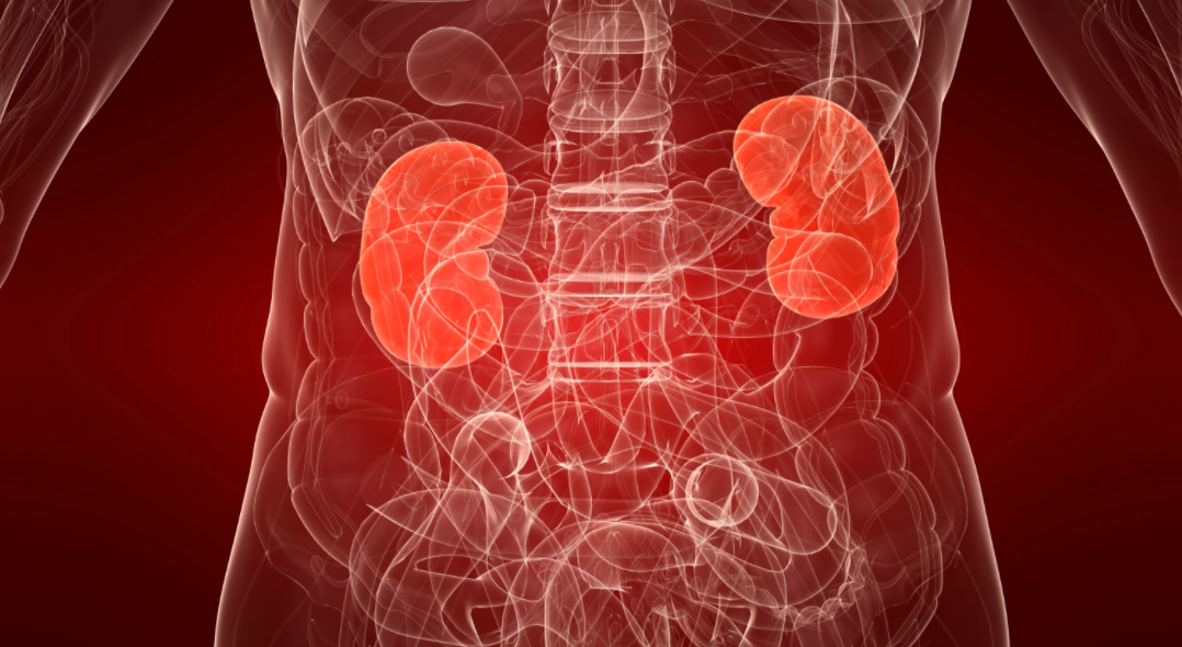 8 ранних признаков рака почек — подробности