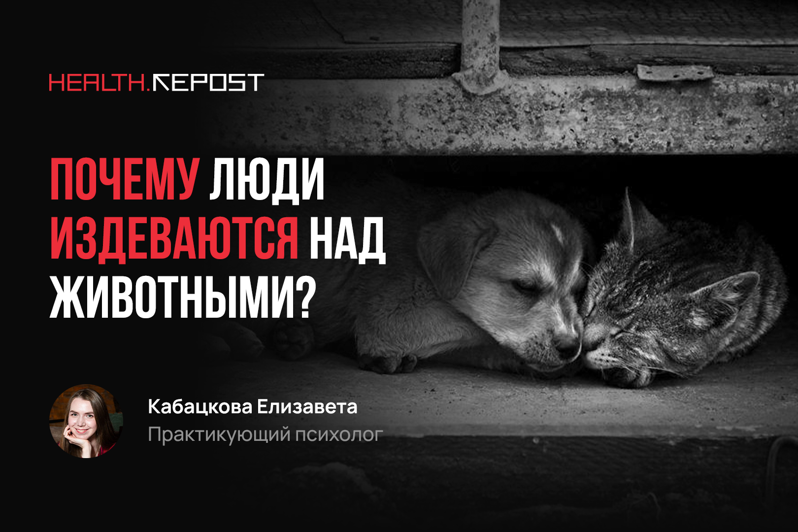 Психология живодёра: почему люди издеваются над животными и заставляют их страдать