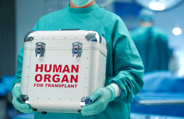 В Узбекистане создадут правовую базу для трансплантации органов