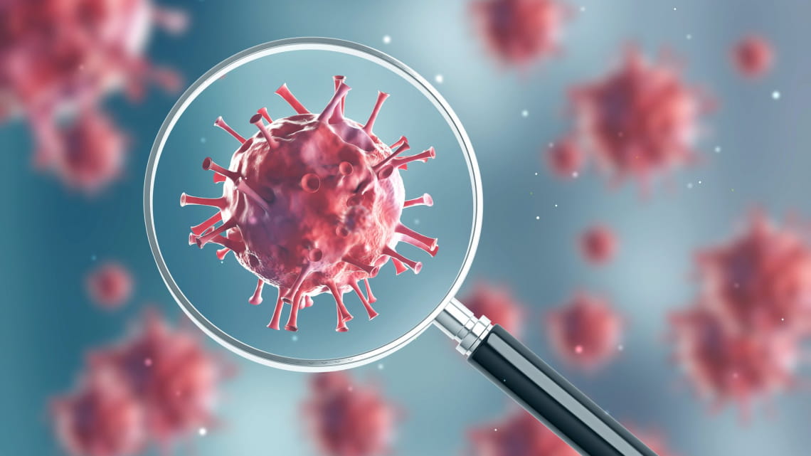 Ученые выдвинули версии о причинах появления штамма «омикрон». Узнайте, при чем тут ЮАР и Ботсвана