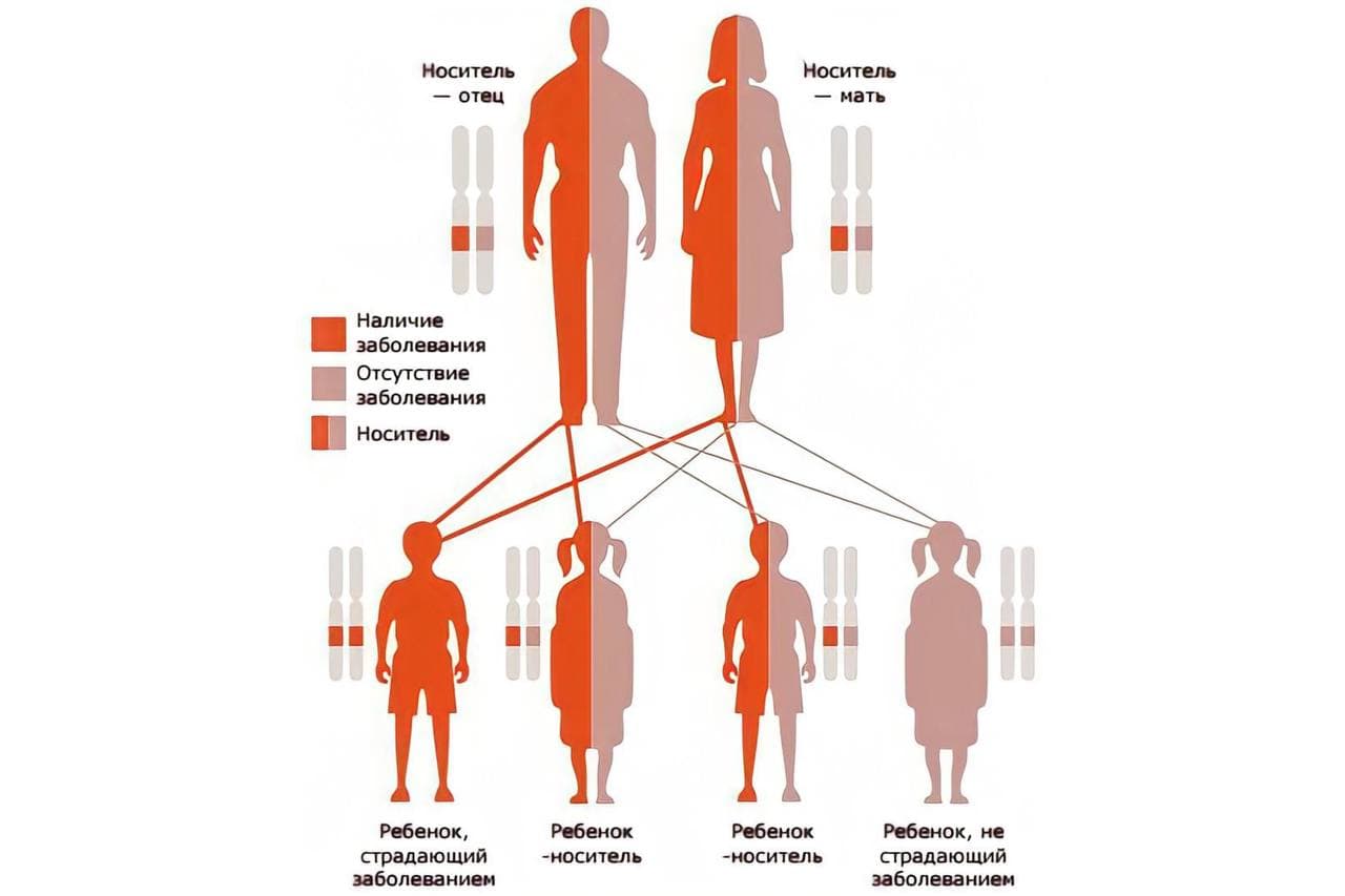 Фото: probolezny.ru