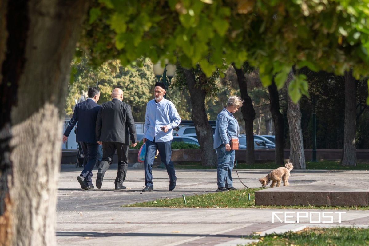 Эксперты подсчитали плотность населения Узбекистана на один квадратный километр