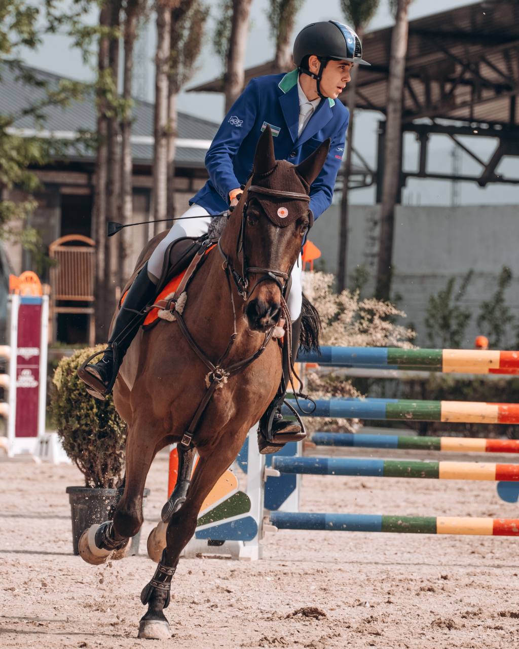 Фото: Федерация коневодства и конного спорта