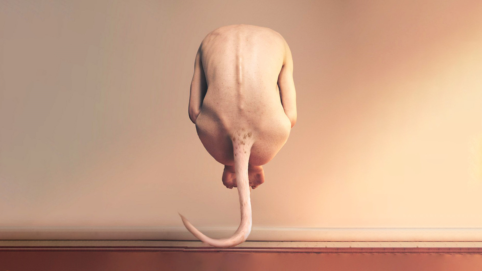 Что бы было, если бы у людей остались хвосты?