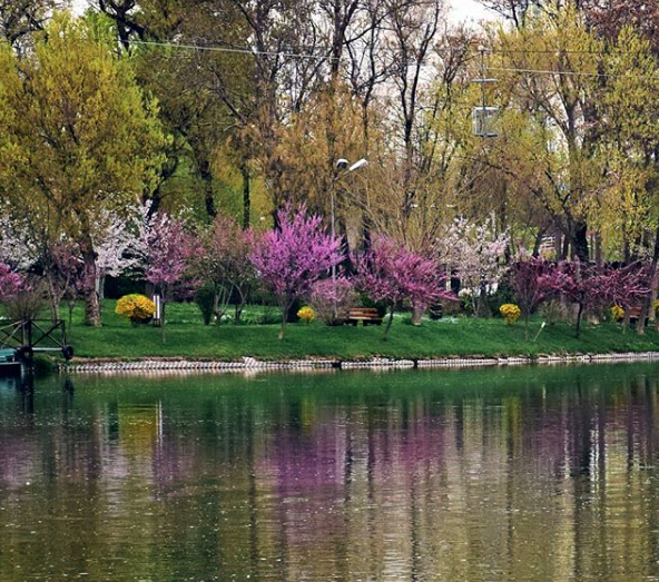 Узбекистанцев обрадовали теплым прогнозом погоды и рассказали об аномальной жаре в марте 