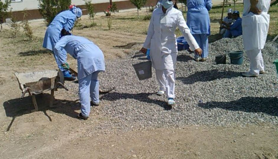 Чиновники получили выговоры от премьера за принудительное привлечение врачей и учителей к работам по благоустройству