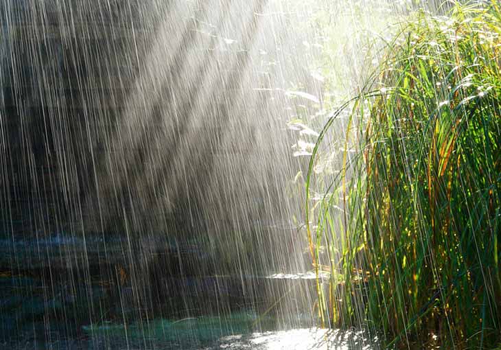 Узгидрометцентр предупредил о грозе и дождях вместе с жарой 