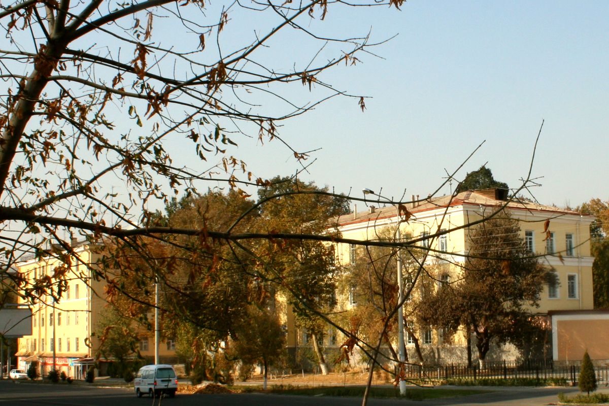 На Лабзаке за гаражами нашли тело женщины, превратившееся в мумию