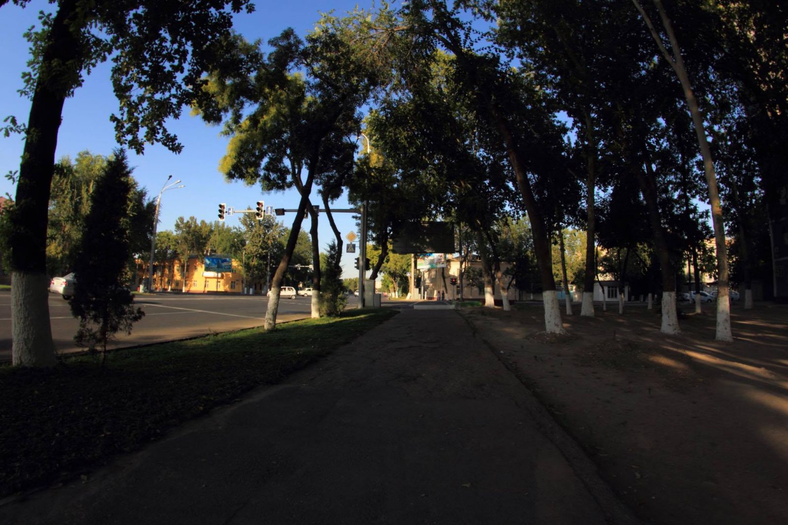 В Ташкенте открыли необычный проход для прогулок (фото)