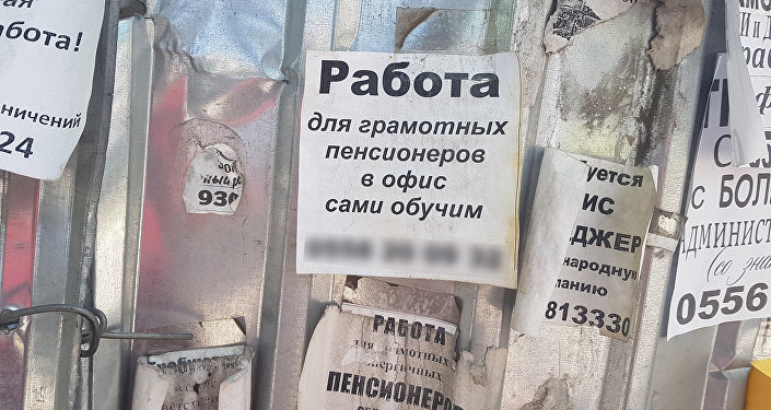 Узбекистанцев предложили штрафовать за оклейку объявлений по столбам и деревьям