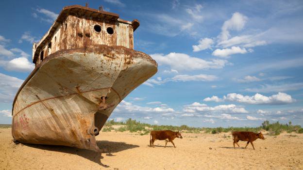 В Каракалпакстане люди остались без питьевой воды в аномальную жару (фото)
