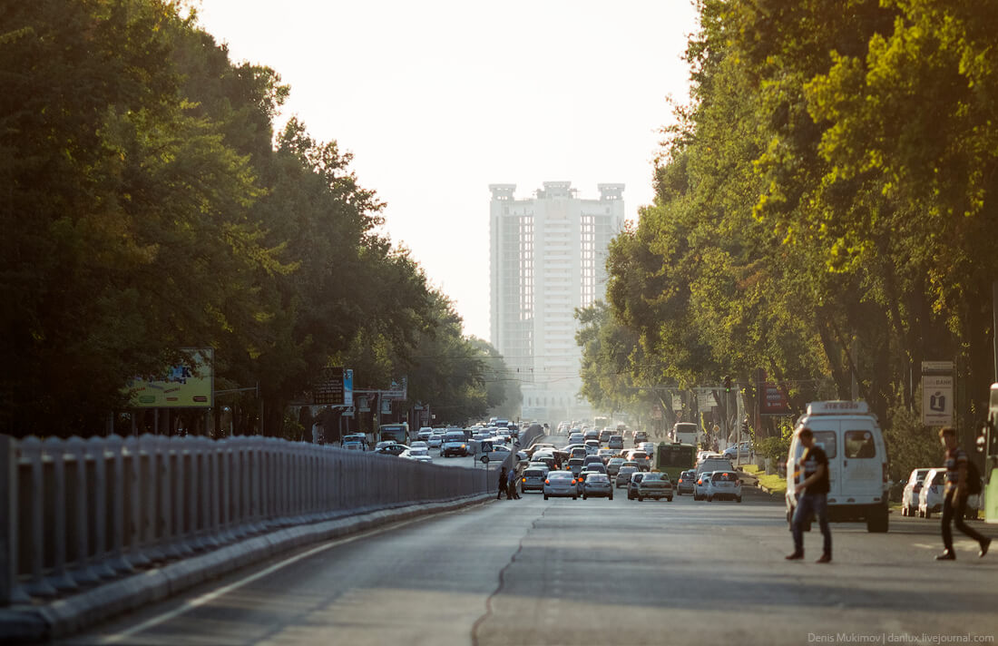 Видеорегистратор на общественном транспорте может стать обязательным