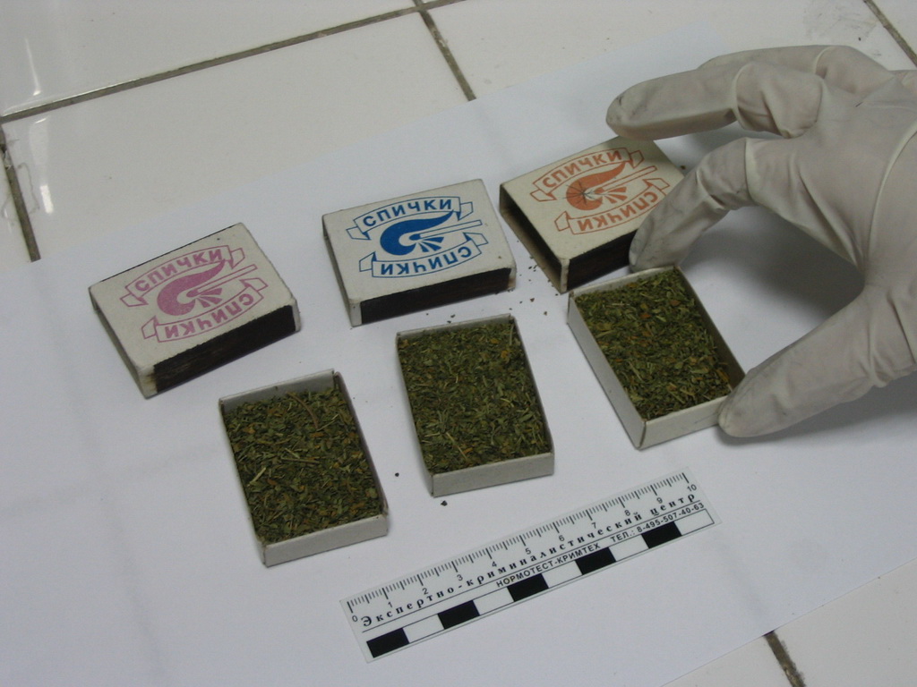 В Ташкенте студент колледжа продавал марихуану и теперь его ждет тюрьма