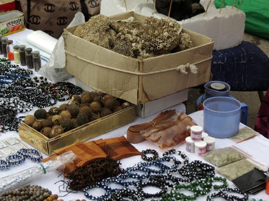 В Узбекистане хотят лицензировать народных целителей