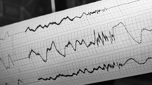 Узбекистанцев потрясло на ночь глядя