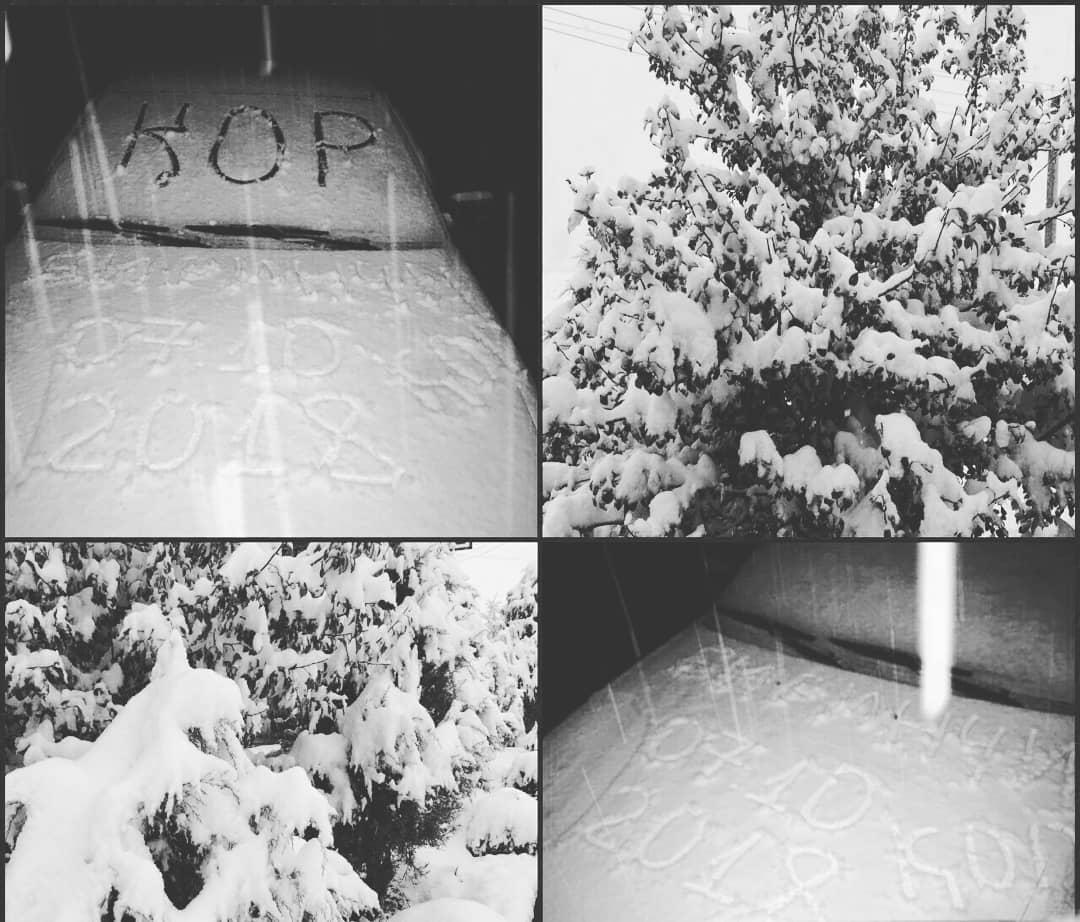 В Заамине выпал первый снег (фото)