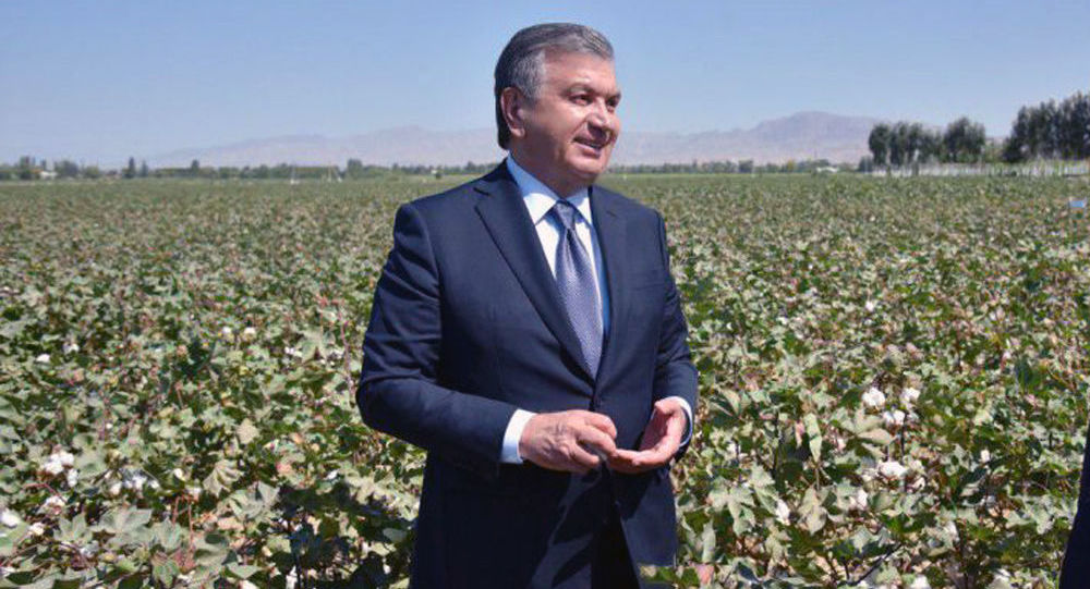 Шавкат Мирзиёев оставил пятерых хокимов без зарплаты