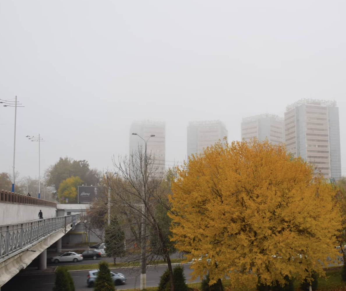 Узгидромет предупредил о заморозках и вселил в мерзляков надежду