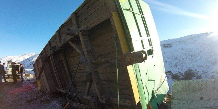 На трассе «Алматы – Ташкент» спасли испуганного тигра 