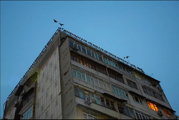 Узбекистанцев начнут охранять