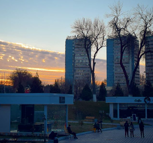 Узбекистанцам пообещали теплую неделю перед Новым Годом