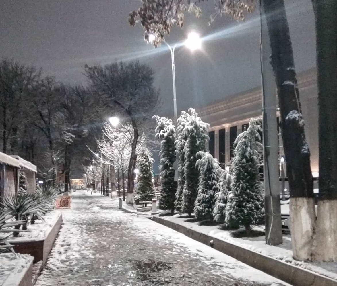 Узгидромет рассказал о погоде в последние дни декабря