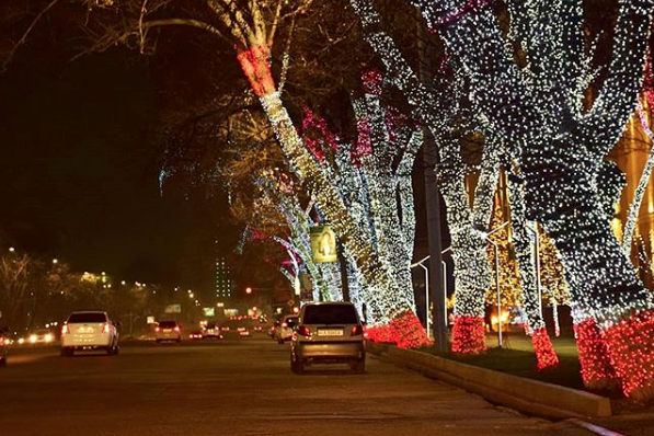 Отсутствию снега в Узбекистане на Новый Год нашлось объяснение