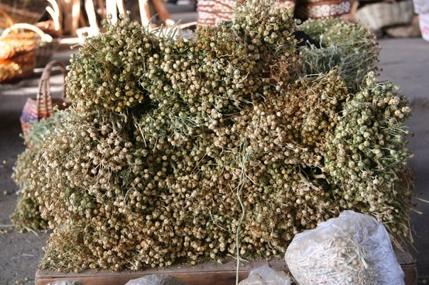 В Узбекистане начнут официально признавать исцелителей